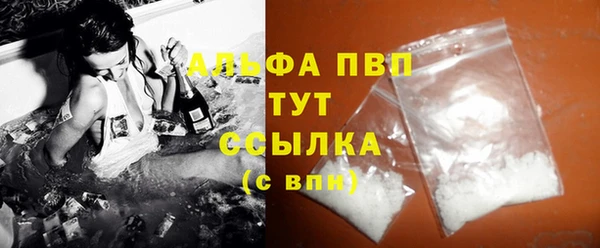 СК Аркадак