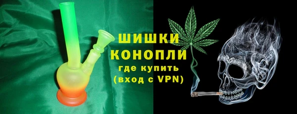 PSILOCYBIN Алзамай