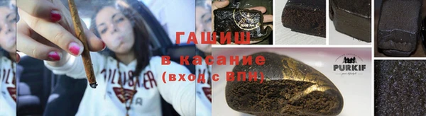 PSILOCYBIN Алзамай