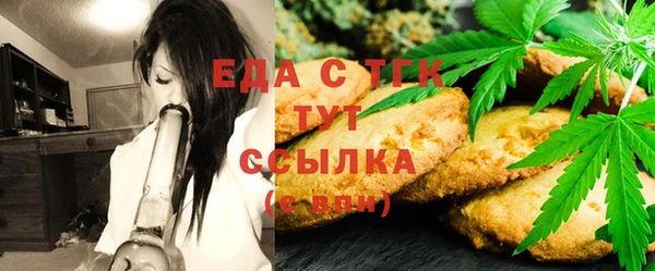 PSILOCYBIN Алзамай
