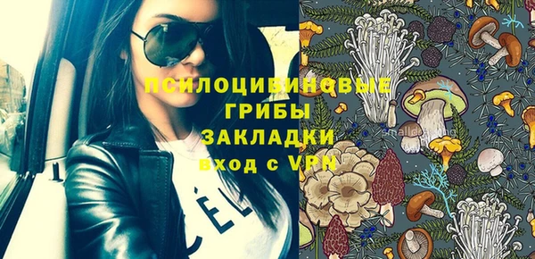 apvp Алексин